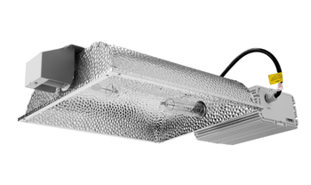 CMH 630w Oak Fixture